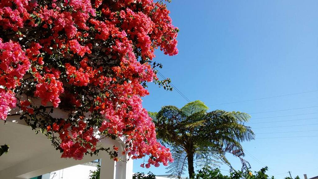 Quinta Das Bolas Ponta Delgada المظهر الخارجي الصورة